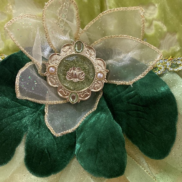 Disney Princess Tiana Dress - Picture 4 of 6